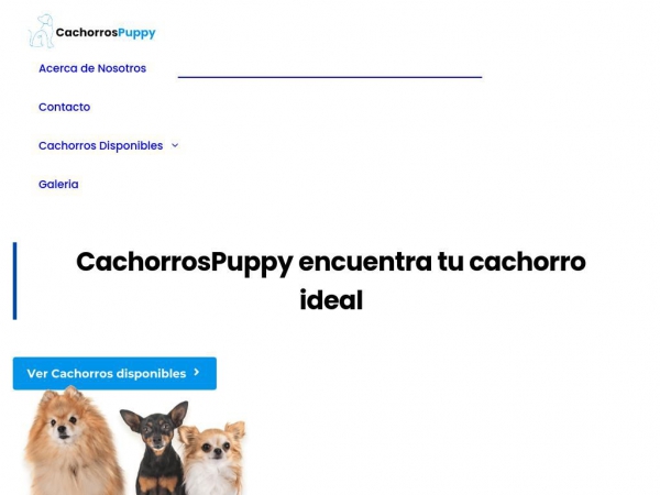 cachorrospuppy.com